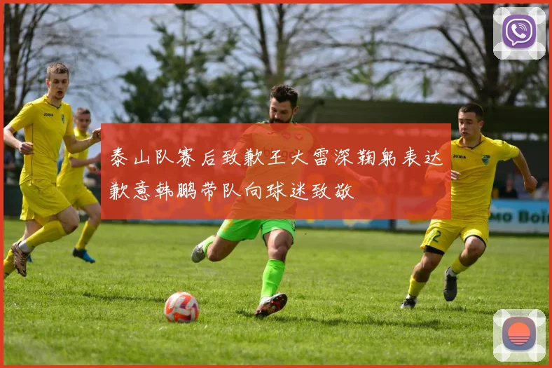 泰山队赛后致歉王大雷深鞠躬表达歉意韩鹏带队向球迷致敬